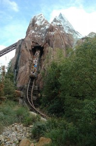 Disney Expedition Everest Dare you ride Disney's Expedition Everest